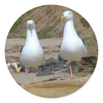 Seagulls On Oceans Beach stickers
