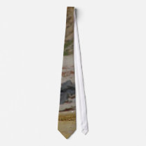 Seagulls On Oceans Beach ties by lifesphere Seagulls On Oceans Beach ties