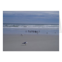 Seagulls On Parade Greeting Cards