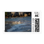 Seagulls on the beach. postage stamp