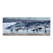 Seagulls posters by gloriaziemer Seagulls posters