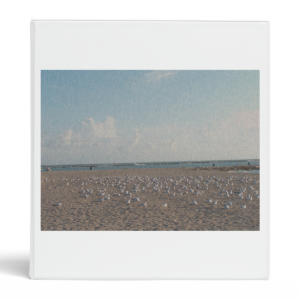 seagulls standing on beach fibered look 3 ring binder