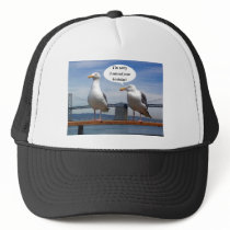 seagulls talking hats
