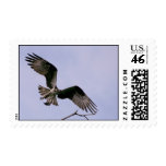 Seahawk Aflight Postage Stamps