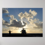 Seahawk Sunset Posters