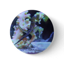seahorse buttons by savetheseahorses seahorse buttons