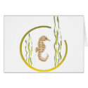 Seahorse cards