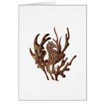 Seahorse Cards