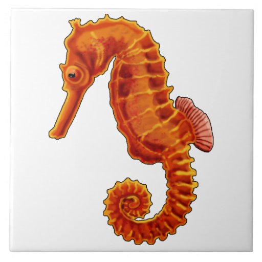 Seahorse Ceramic Tile Zazzle
