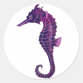 Cute Seahorse Stickers | Zazzle