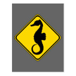 Seahorse Crossing ! Postcards