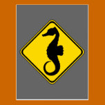 Seahorse Crossing ! postcards
