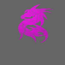 Seahorse Dragon t-shirts