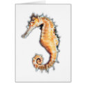 SEAHORSE GREETING CARDS by DODGERFL SEAHORSE GREETING CARDS