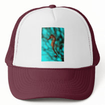 Seahorse Hat