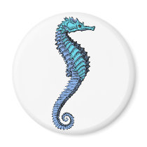 Seahorse Magnets