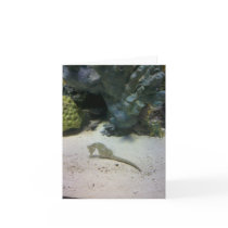 Seahorse Note Card