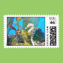 Seahorse postage