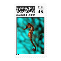 Seahorse Postage