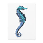 Seahorse Post Card