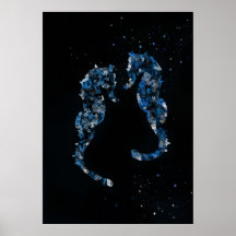 seahorse poster