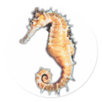 SEAHORSE sticker by DODGERFL SEAHORSE sticker