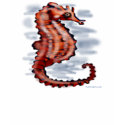 seahorse t-shirts by FunGraphix seahorse t-shirts
