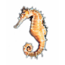 SEAHORSE t-shirts by DODGERFL SEAHORSE t-shirts