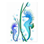 Seahorses Cartoon Postcard