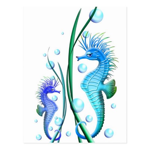 Seahorses Cartoon Postcard