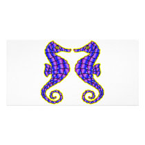 Seahorses photo cards by Mustang_Lady Seahorses photo cards