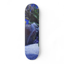 Seahorses Skateboard Decks