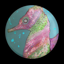 Seahorsing magnets
