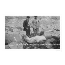 Seal Asleep Nome, Alaska 1920 posters by lc_alaska Seal Asleep Nome, Alaska 1920 posters