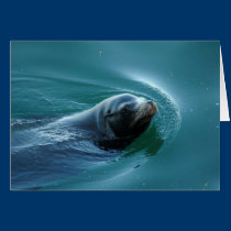 Seal cards