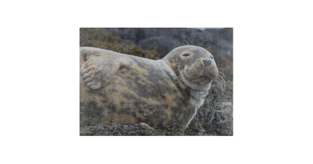 Seal Cutting Board Zazzle