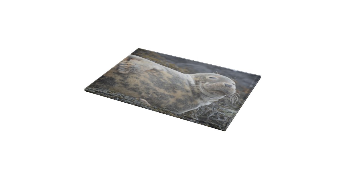 Seal Cutting Board Zazzle