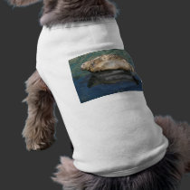 Seal pet clothing