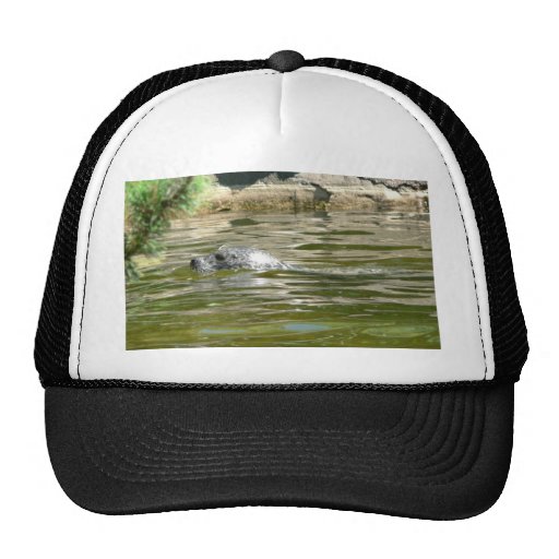 Seal In Water Trucker Hats