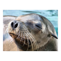 seal kiss posters by pixelgirl seal kiss posters
