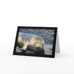 Seal Laughing Ha Ha Happy Birthday cards