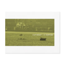 Seal Lions vs Kayakers postcards by kuniyuki Seal Lions vs Kayakers postcards
