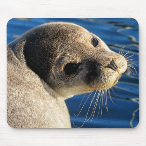 Seal mousepad