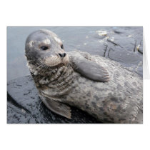 Seal of Approval cards