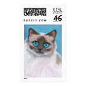 Seal Point Ragdoll Cat - Large Postage stamp