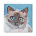 Seal Point Ragdoll Cat v.02 Magnet magnet