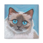 Seal Point Ragdoll Cat v.02 Magnet magnet
