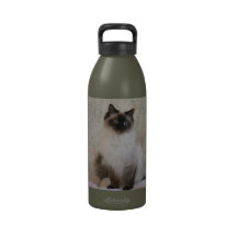 Seal Pointed Ragdoll Cat Water Bottle