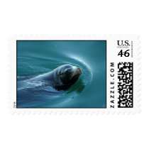 Seal postage