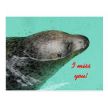 Seal Postcard